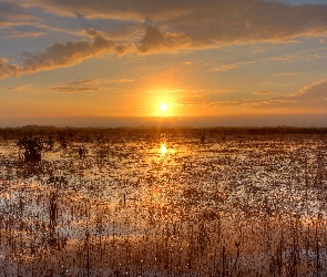 Floryda, Bagno, Zachód Słońca, Park Narodowy Everglades, Stany Zjednoczone