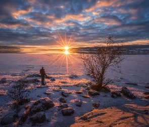 Norwegia, Zima, Mężczyzna, Drzewo, Promienie słońca, Jezioro Tyrifjorden