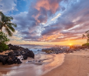 Chmury, Palmy, Wyspa Maui, Hawaje, Morze, Zachód słońca