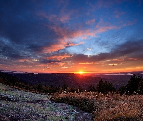 Wzgórza, Drzewa, Stan Maine, Stany Zjednoczone, Park Narodowy Acadia, Zachód słońca