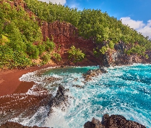 Hawaje, Roślinność, Morze, Skały, Wyspa Maui