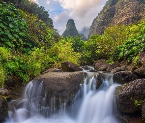 Wyspa Maui, Roślinność, Skały, Potok Iao Valley, Hawaje