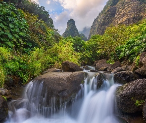 Hawaje, Roślinność, Potok Iao Valley, Skały, Wyspa Maui