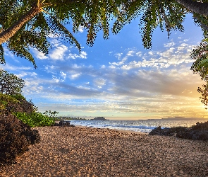 Hawaje, Palmy, Morze, Plaża, Promienie słońca