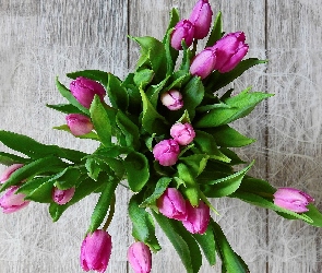 Bukiet, Tulipany
