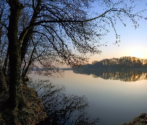 Drzewa, Wschód słońca, Jezioro