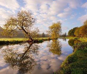 Odbicie, Drzewa, Anglia, Rzeka Wey