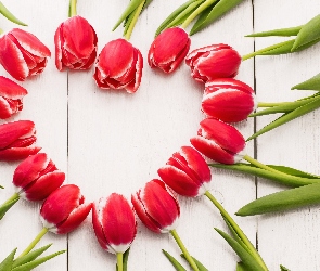 Serce, Wiosna, Kwiaty, Tulipany