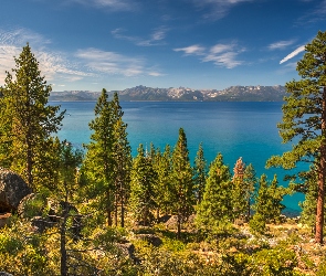 Stany Zjednoczone, Drzewa, Jezioro Tahoe, Wzgórza, Stan Newada