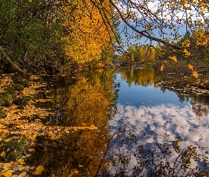 Rzeka, Odbicie, Kamienie, Drzewa, Jesień