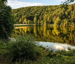 Wędkowanie, Lasy, Niemcy, Jezioro Biggesee