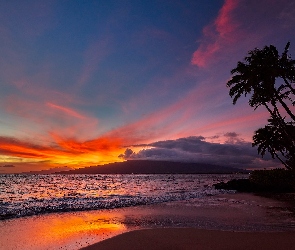 Palmy, Morze, Hawaje, Zachód słońca