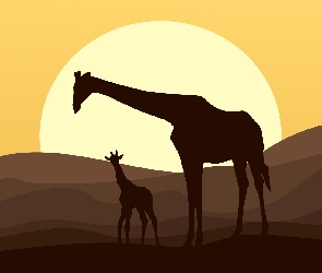 Żyrafy, Słońce, Pustynia, Grafika 2D