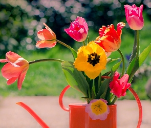 Kolorowe, Tulipany, Kwiaty