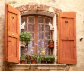 Okno, Francja