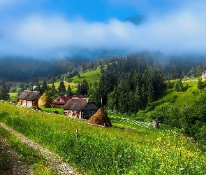 Ukraina, Wioska, Mgła, Droga, Góry Karpaty, Domy