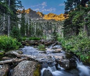 Stan Kolorado, Drzewa, Stany Zjednoczone, Góry, Rzeczka, Indian Peaks Wilderness, Kamienie, Las