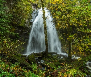 Drzewa, Wodospad Christie Falls, Kanada, Ladysmith