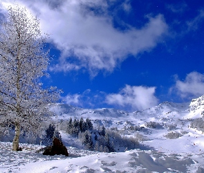 Wzgórza, Góry, Zima, Drzewa