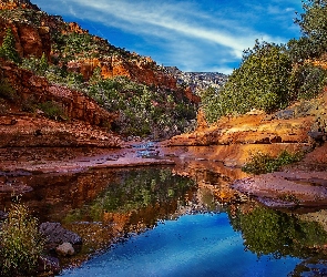 Skały, Rzeka, Stan Arizona, Drzewa, Kanion, Stany Zjednoczone, Park stanowy Slide Rock