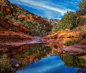 Stan Arizona, Stany Zjednoczone, Drzewa, Kanion, Rzeka, Skały, Park stanowy Slide Rock