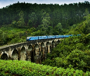Demodara, Pociąg Elektryczny, Lasy, Most Nine Arches Bridge, Sri Lanka