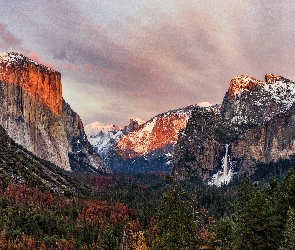 Drzewa, Las, Stan Kalifornia, Stany Zjednoczone, Park Narodowy Yosemite, Góry