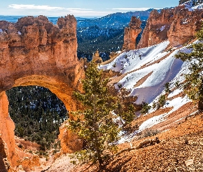 Stan Utah, Góry, Stany Zjednoczone, Kanion, Łuk Natural Bridge, Park Narodowy Bryce Canyon, Skały, Drzewa