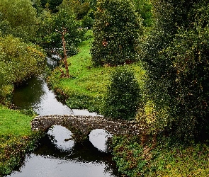 Rzeka, Mosty, Hrabstwo Derbyshire, Anglia, Bakewell, Park