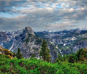 Stany Zjednoczone, Ciemne, Drzewa, Chmury, Krzewy, Roślinność, Kalifornia, Park Narodowy Yosemite, Góry Sierra Nevada