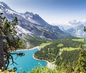 Szwajcaria, Jezioro Oeschinen, Alpy Berneńskie, Drzewa, Góry