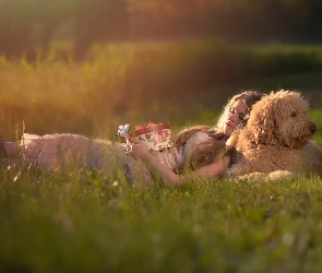 Prezent, Trawa, Pies, Trawa, Łąka, Kobieta, Labradoodle