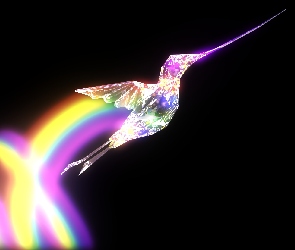 Koliber, Grafika 2D, Kolorowy