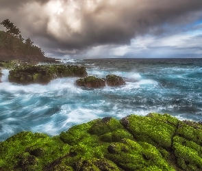 Ocean Spokojny, Wybrzeże, Hawaje, Skały, Chmury, Drzewa, Omszałe, Wyspa Kauaʻi