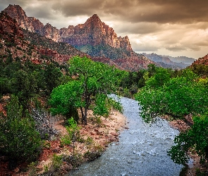 Stan Utah, Stany Zjednoczone, Góry, Góra Watchman, Rzeka Virgin River, Drzewa, Park Narodowy Zion