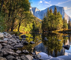 Kalifornia, Drzewa, Stany Zjednoczone, Kamienie, Rzeka, Park Narodowy Yosemite, Odbicie, Góry