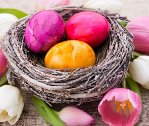 Tulipany, Pisanki, Dekoracja, Wielkanoc, Gniazdko, Kolorowe