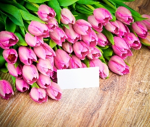 Różowe, Karteczka, Tulipany