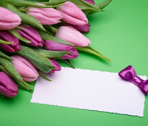 Tulipany, Kartka, Kokardka, Fioletowe, Kwiaty