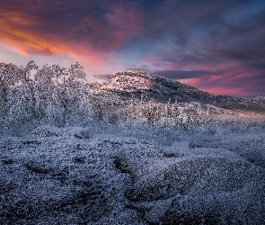 Norwegia, Drzewa, Szadź, Zima, Góry