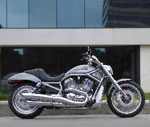 Srebrny, Harley Davidson V-Rod, Cruiser