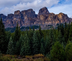 Kanada, Park Narodowy Banff, Drzewa, Góra Castle Mountain, Las, Góry