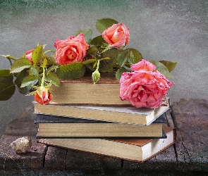 Róże, Książki
