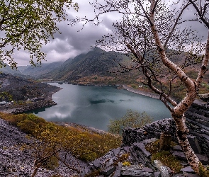Skały, Drzewa, Park Narodowy Snowdonia, Walia, Góry, Jezioro Llyn Peris