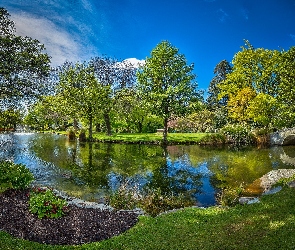 Drzewa, Wiosna, Staw, Park, Fontanna, Most