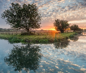 Rzeka, Odbicie, Drzewa, Chmury, Zachód słońca