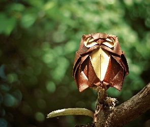 Origami, Gałąź, Sowa