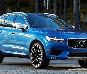 Niebieskie, Las, 2017, Volvo XC60