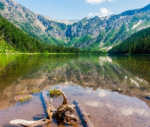 Drzewa, Góry, Stan Montana, Stany Zjednoczone, Park Narodowy Glacier, Jezioro Hidden Lake
