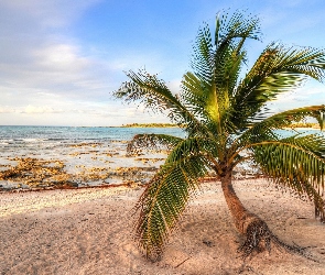 Palma, Pochylona, Morze, Plaża